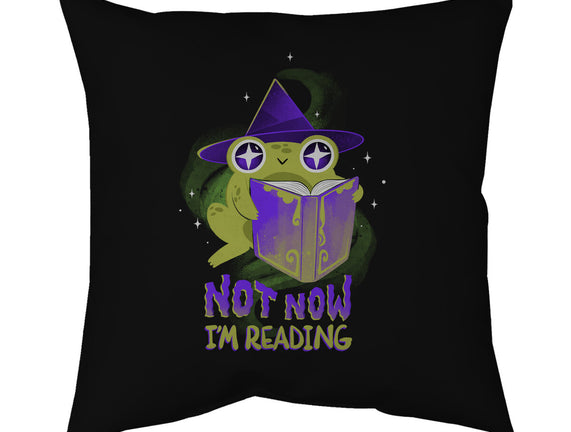 Not Now! I'm Reading