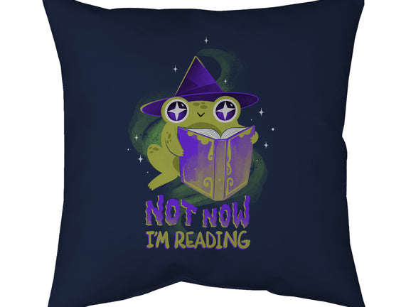 Not Now! I'm Reading