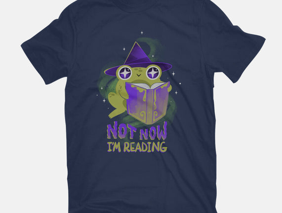 Not Now! I'm Reading