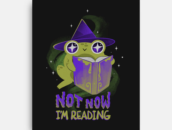 Not Now! I'm Reading