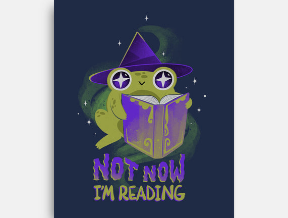 Not Now! I'm Reading