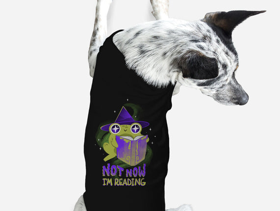 Not Now! I'm Reading