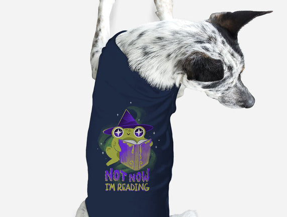 Not Now! I'm Reading