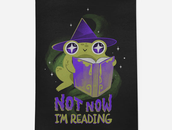 Not Now! I'm Reading