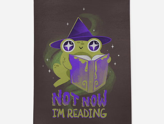 Not Now! I'm Reading