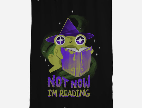 Not Now! I'm Reading