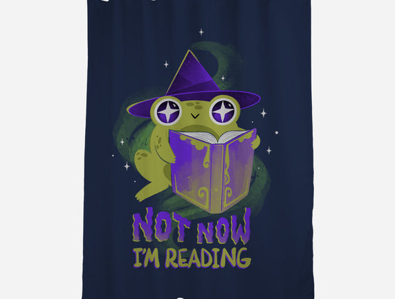 Not Now! I'm Reading