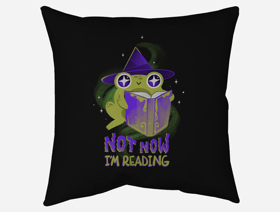 Not Now! I'm Reading