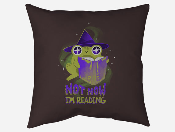 Not Now! I'm Reading