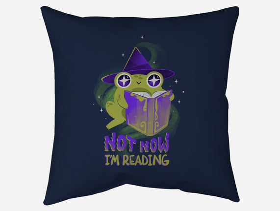 Not Now! I'm Reading