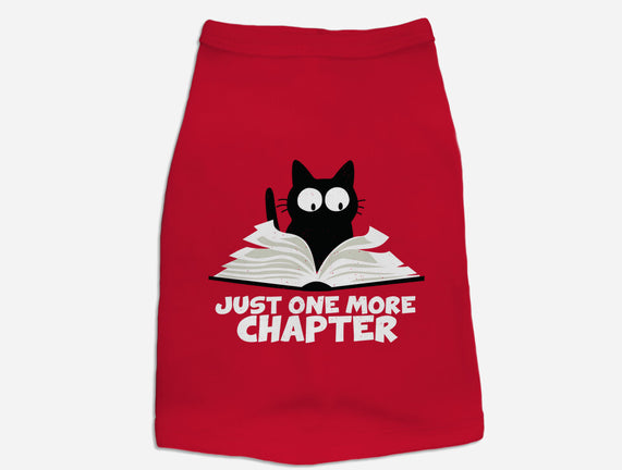 The Final Chapter
