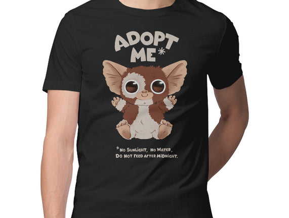 Adopt Me
