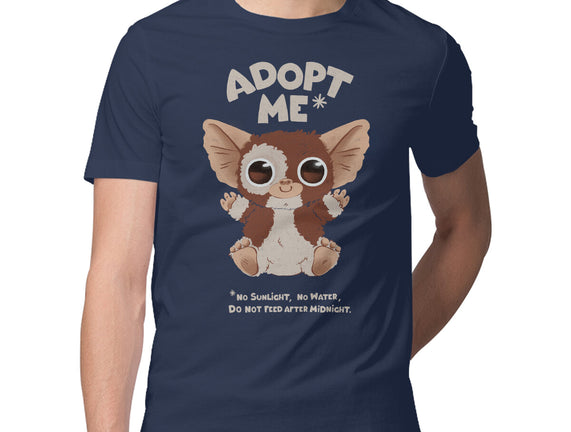 Adopt Me