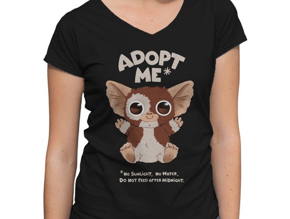 Adopt Me