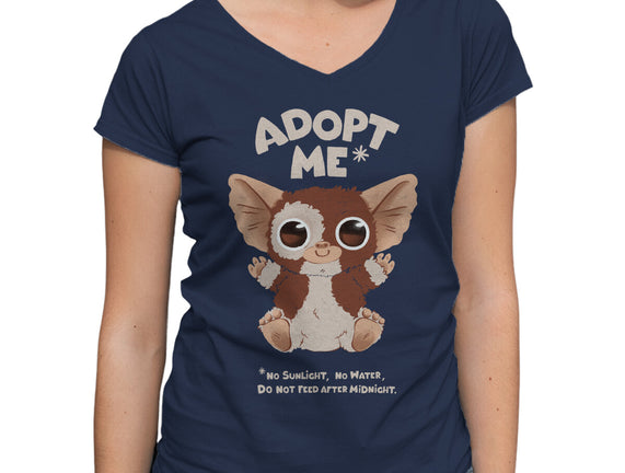 Adopt Me