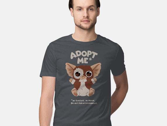 Adopt Me