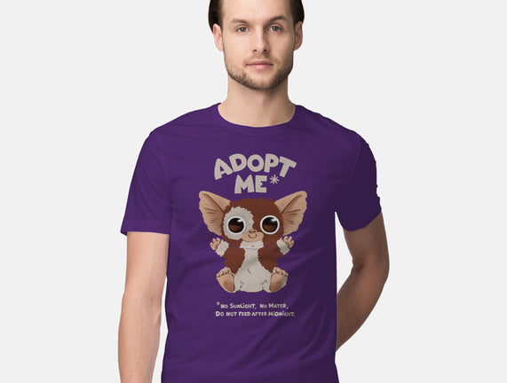 Adopt Me