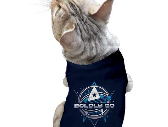 Boldly Into Space