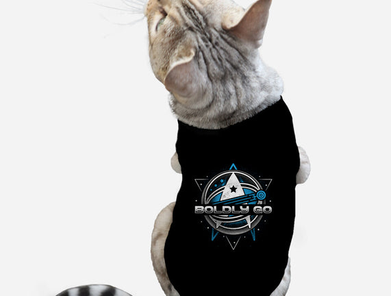 Boldly Into Space