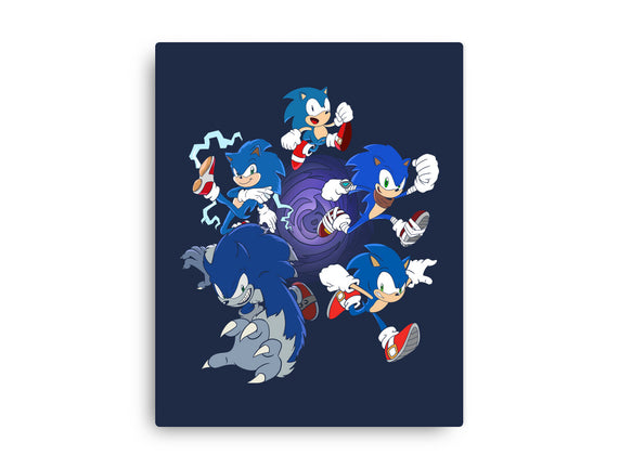 Hedgehog Dimensions