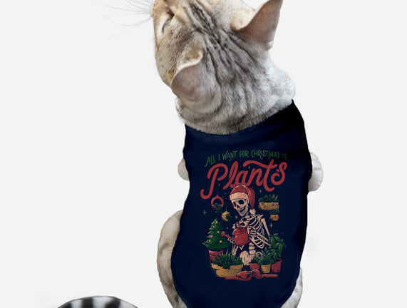 All I Want For Christmas Is Plants