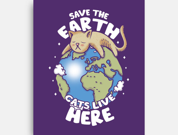 Cats Live Here