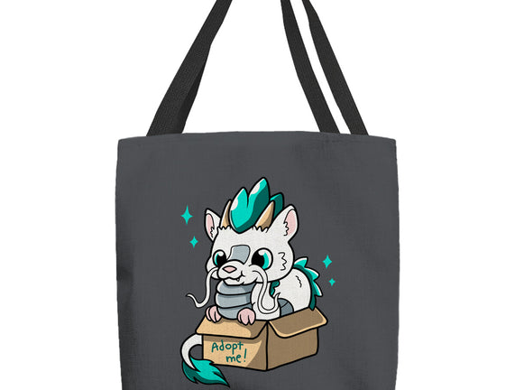 Adopt A Dragon