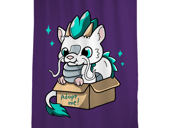 Adopt A Dragon