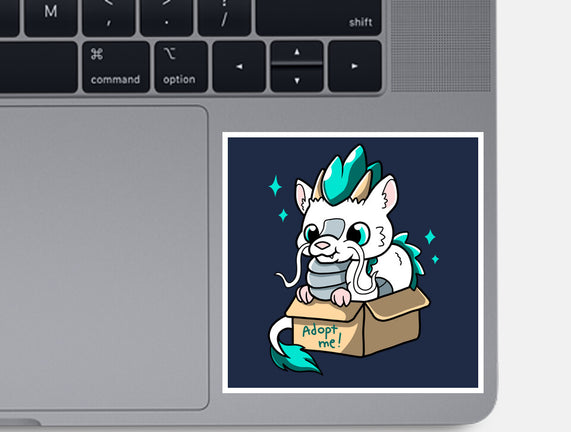Adopt A Dragon