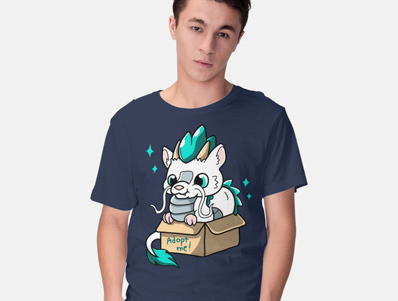 Adopt A Dragon