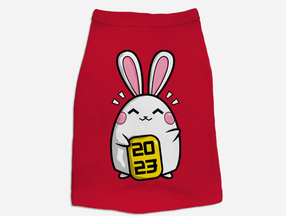 Lucky Bunny 2023