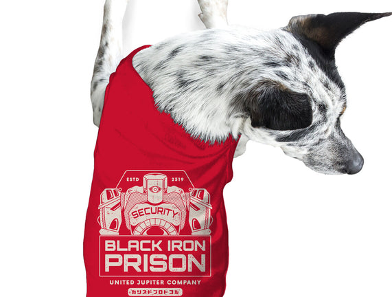 Prison Security Robots