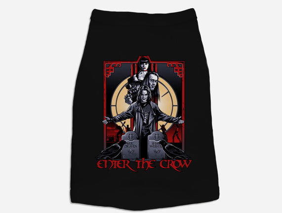 Enter The Crow