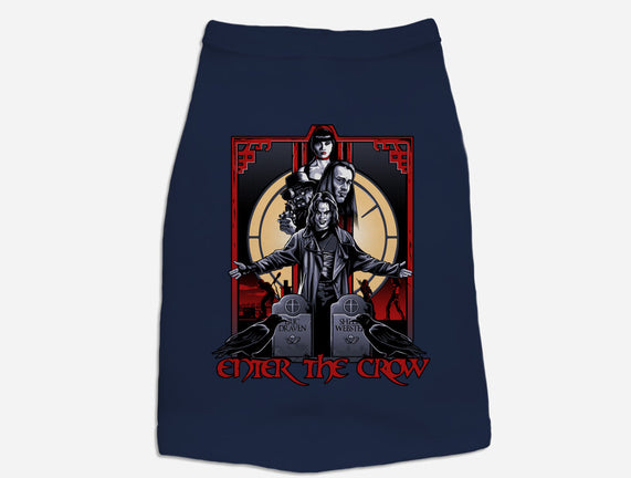 Enter The Crow