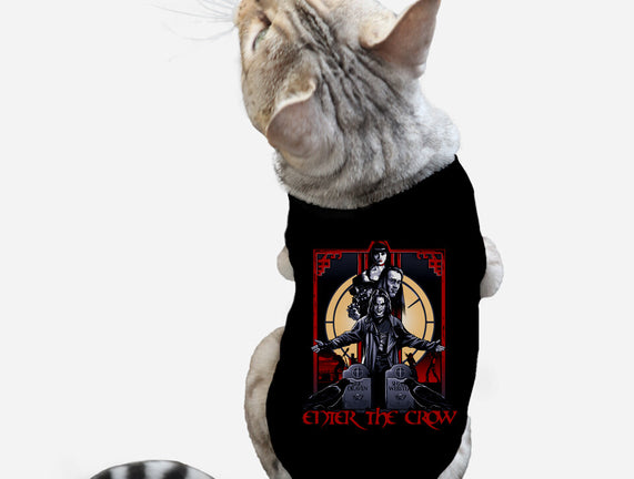 Enter The Crow