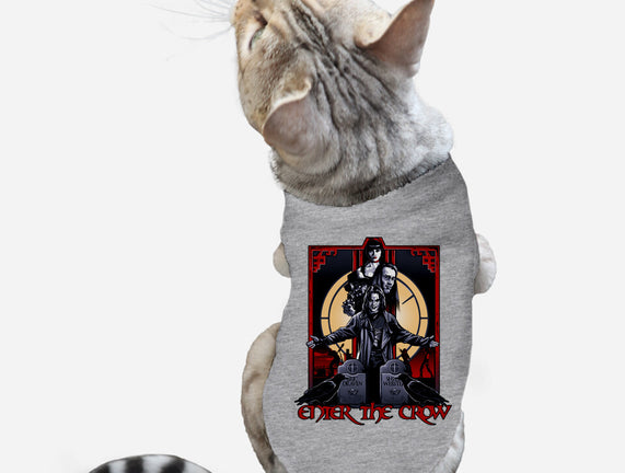 Enter The Crow