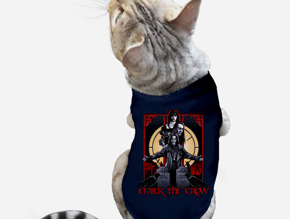 Enter The Crow