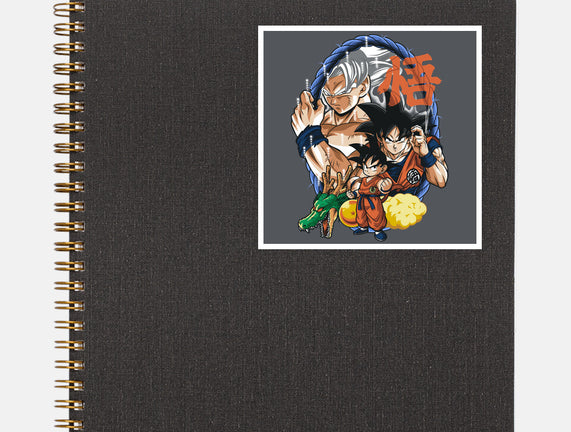 Evolution Of A Saiyan