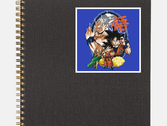Evolution Of A Saiyan