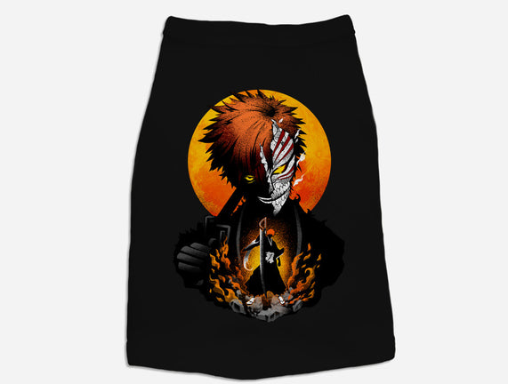 Hollow Mask Ichigo