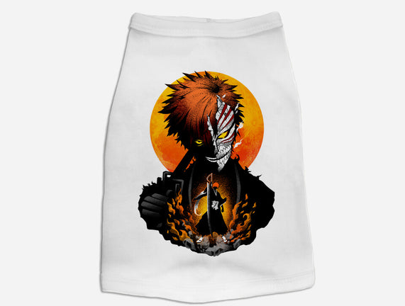Hollow Mask Ichigo