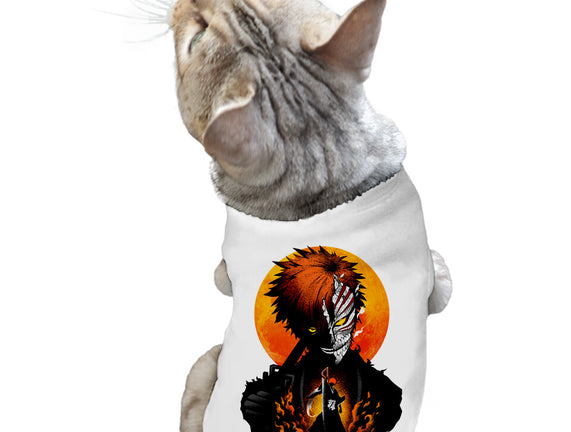 Hollow Mask Ichigo
