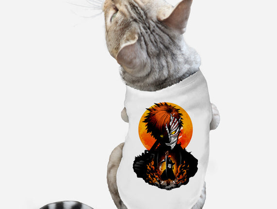 Hollow Mask Ichigo
