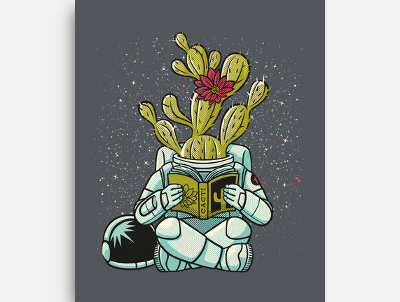 Astronaut Cactus Succulent