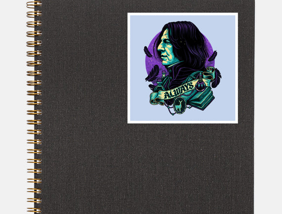 The Potions Professor