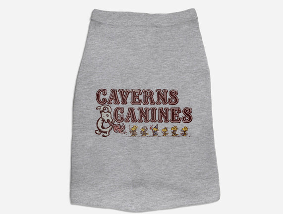 Caverns And Canines