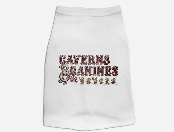 Caverns And Canines