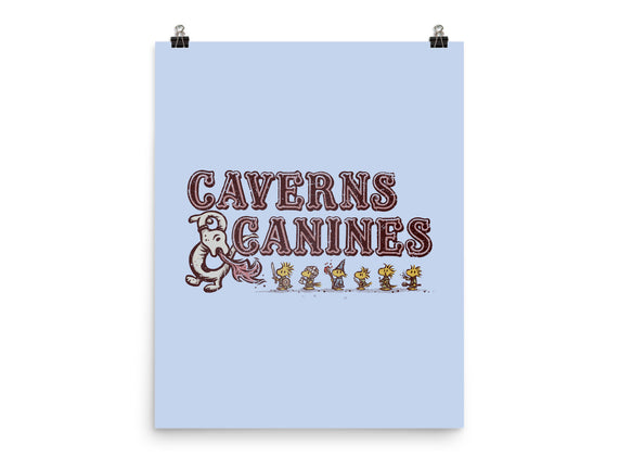 Caverns And Canines