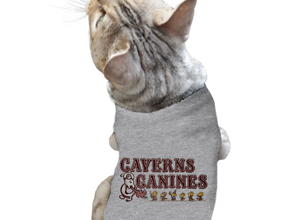 Caverns And Canines