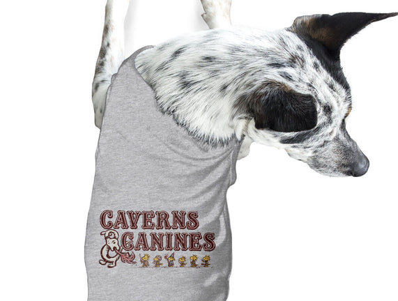 Caverns And Canines
